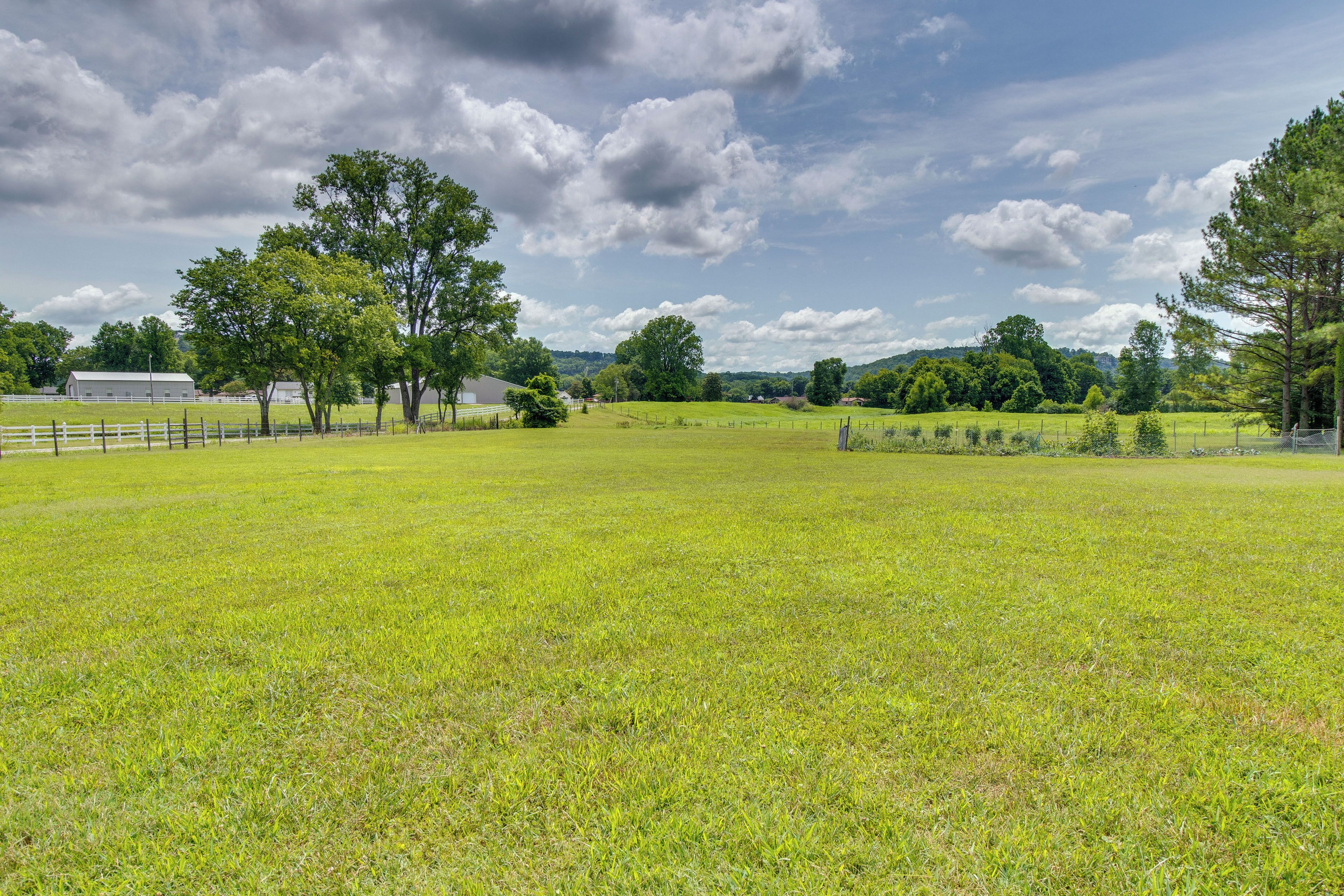 A grassy field with trees and a white fence.