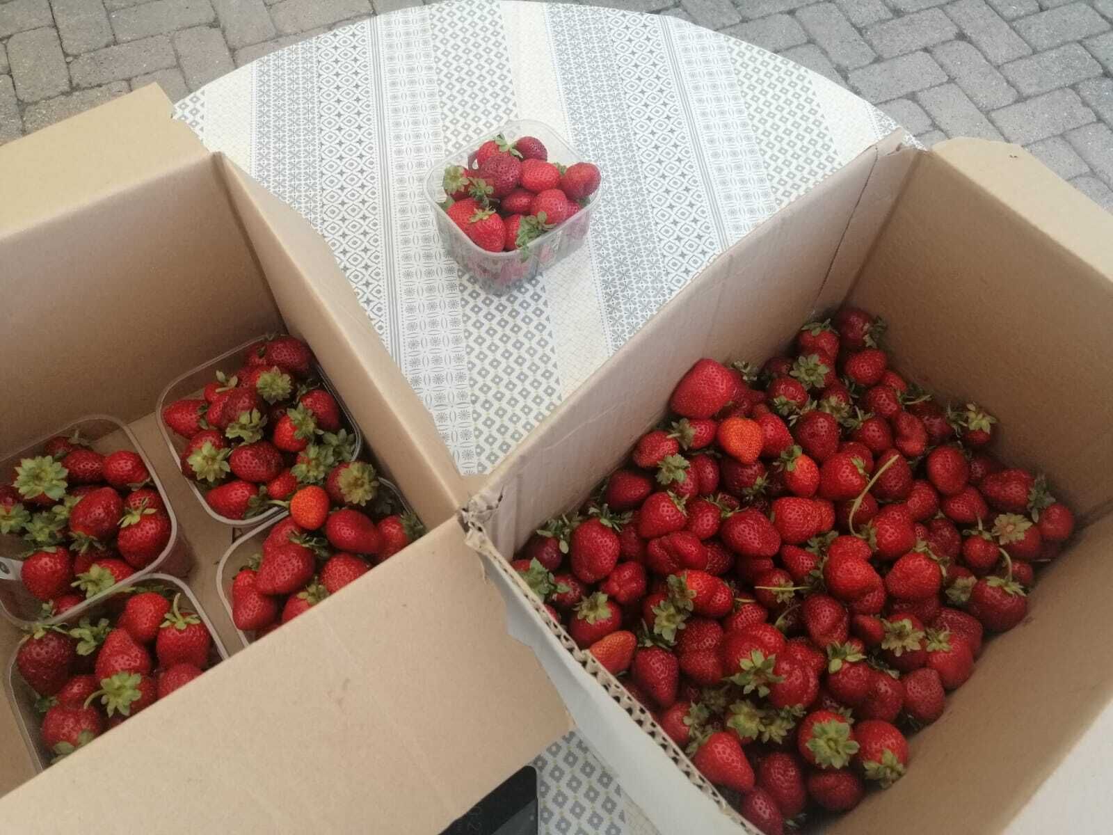 Drei Pappkartons voller Erdbeeren auf einer gemusterten Tischdecke.