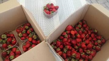 Drei Pappkartons voller Erdbeeren auf einer gemusterten Tischdecke.