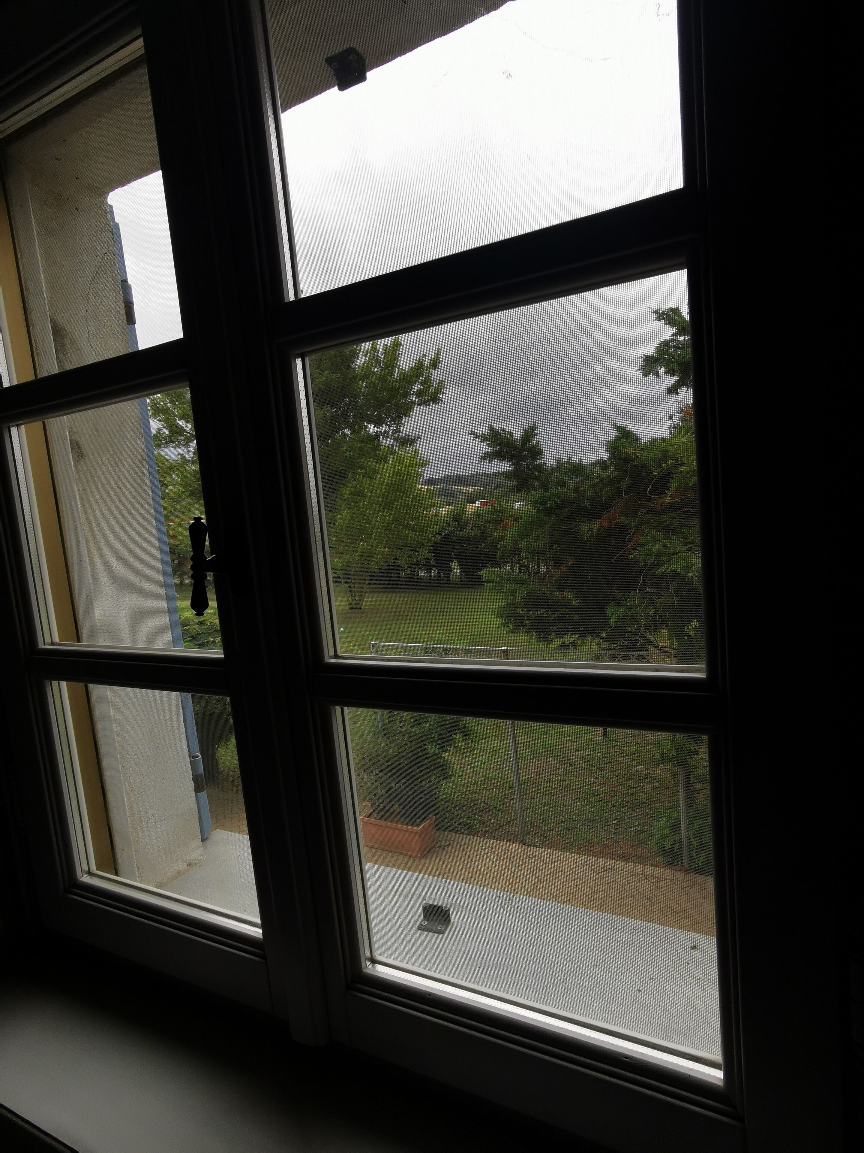 A window with a view of a garden and a building in the background.