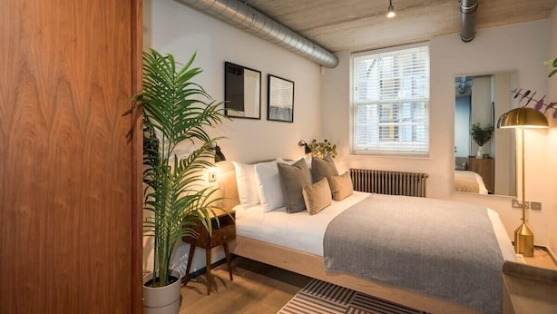Ein modernes Schlafzimmer mit Bett, Topf-Pflanze, Nachttisch und einem Fenster mit Jalousien.