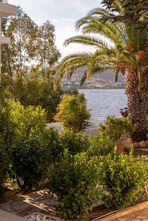 Overnatningsstedets område