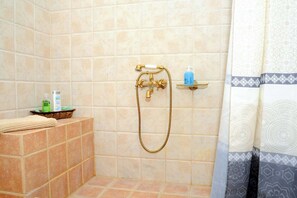 Shower, hair dryer