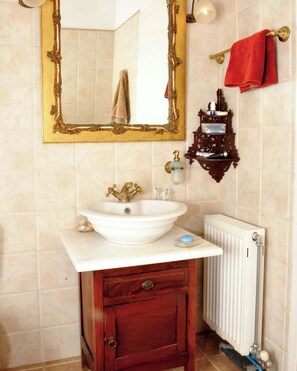 Shower, hair dryer