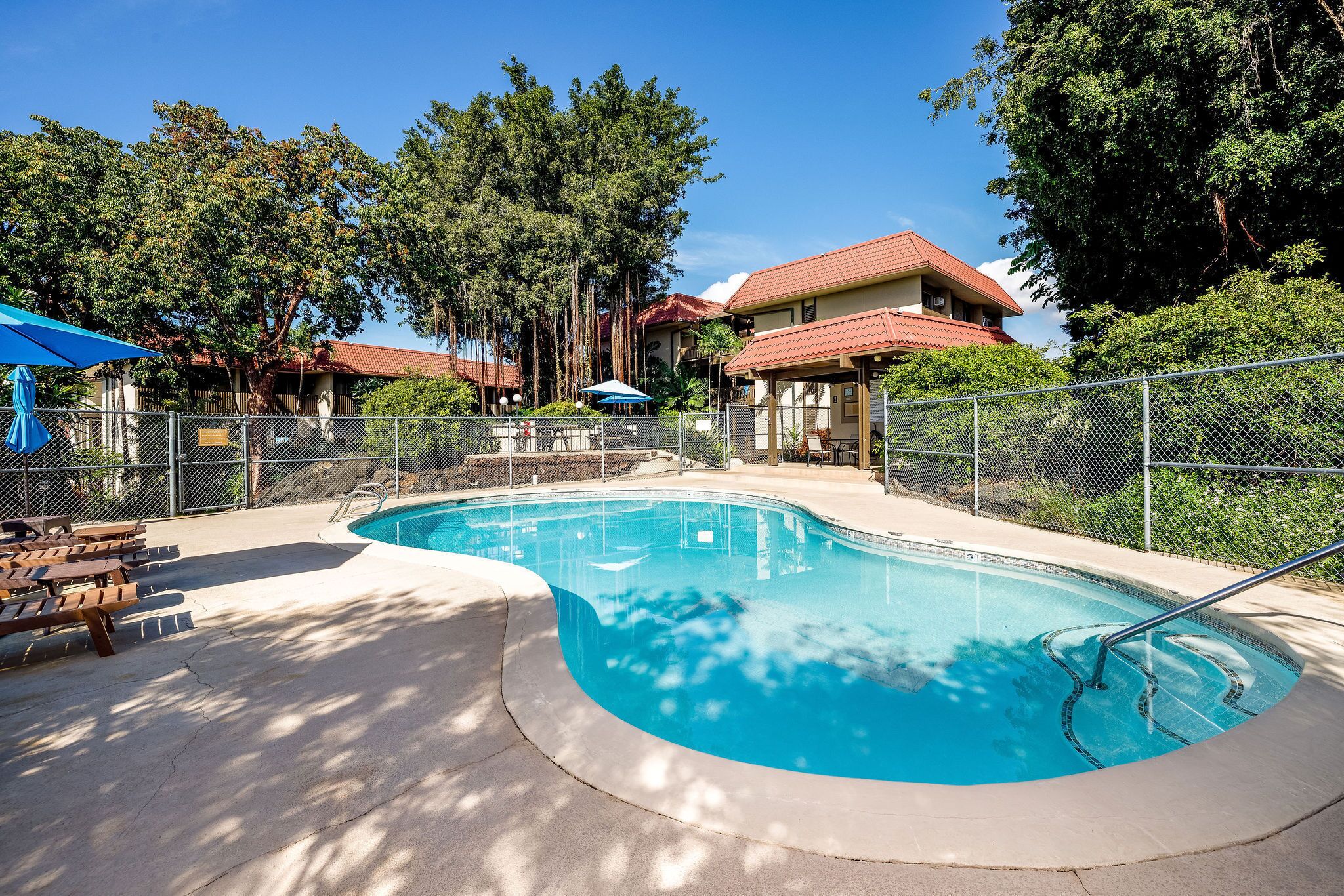Une piscine à bord incurvé, entourée d’une clôture et ombragée par des arbres.