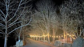 Un camino pavimentado bordeado por árboles desprovistos de hojas e iluminado con guirnaldas, que conduce a una cabaña de madera con un porche.