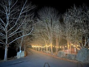 Property grounds - Fox Tiny Luxury Cabin on Lake with Bouncy House's (Guntersville)