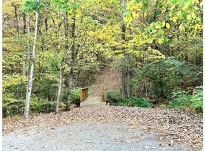 Property grounds - Coyote Tiny Luxury Cabin on Lake with Arcade (Guntersville)