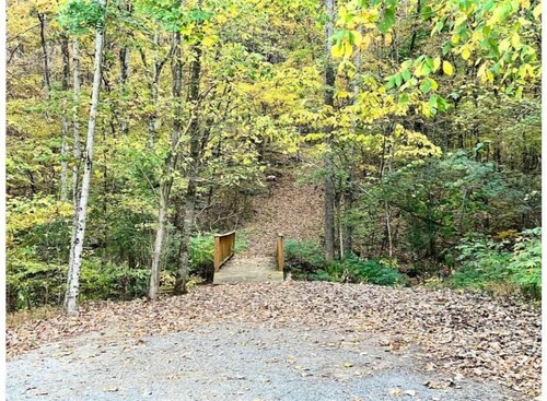 Coyote Tiny Luxury Cabin on Lake with Arcade