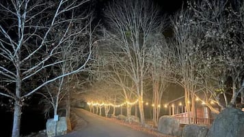 Une route goudronnée bordée d’arbres sans feuilles et illuminée de guirlandes lumineuses, menant à un chalet en bois doté d’une véranda.