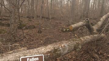 Un arbre caigut que bloqueja un sender, amb un senyal que diu 'Fallen Tree Trail'.