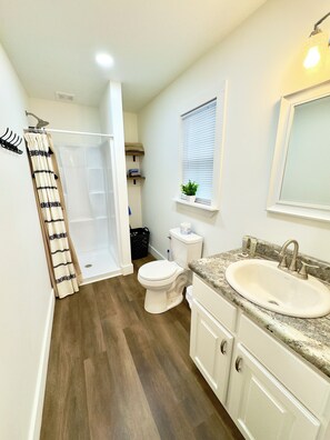 Hair dryer, soap, shampoo, toilet paper