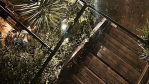 Un grup de persones dinant a taules dins d'un edifici amb sostre de vidre, envoltat de vegetació.