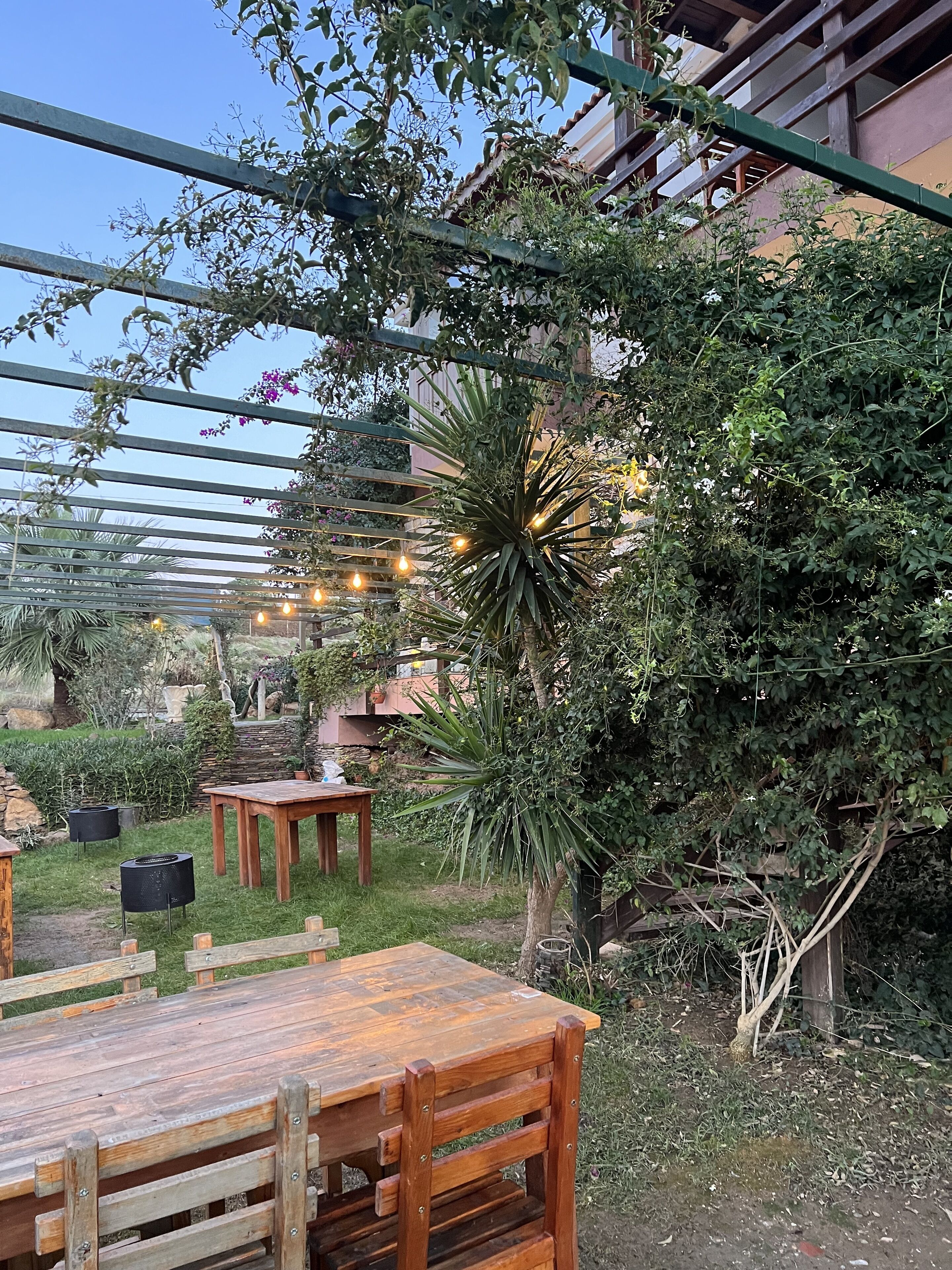 Eine Außenpatio-Terrasse mit Holztischen und -stühlen, umgeben von Grünpflanzen.