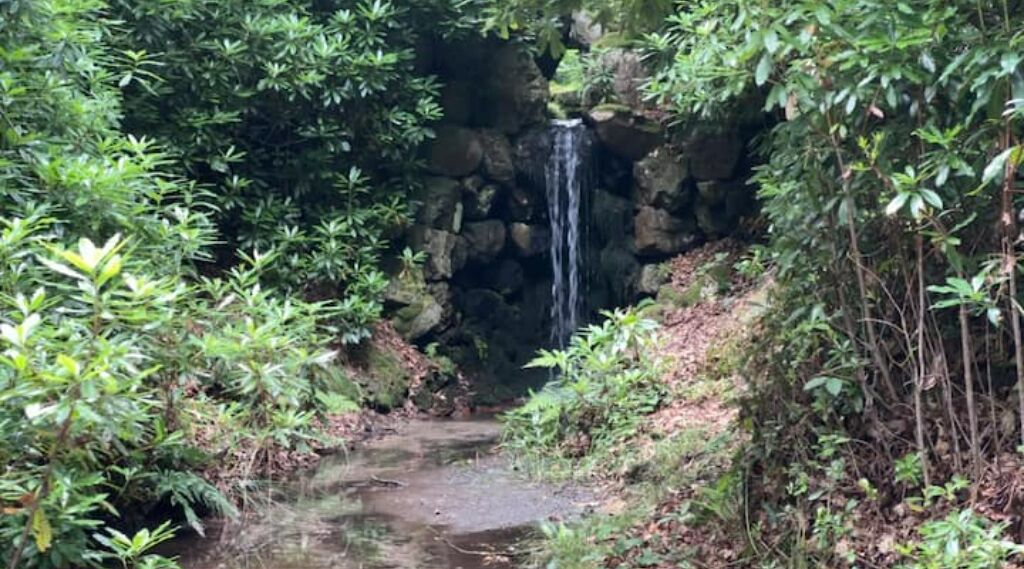 Una cascada natural en una zona boscosa amb un camí rocós que porta a l'aigua.