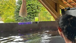 Une structure en bois avec un toit de chaume, une piscine et une vue sur la verdure environnante.