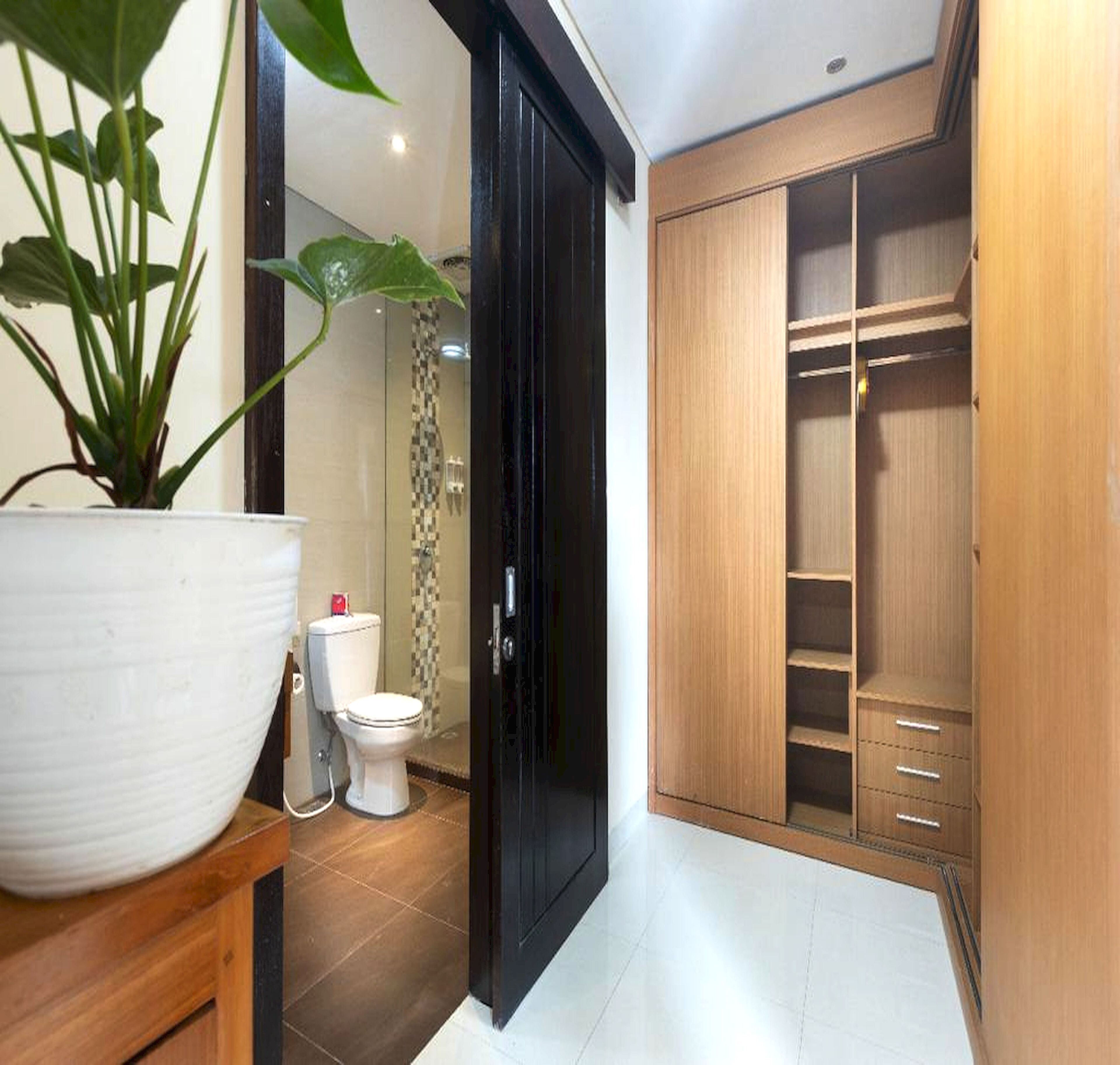 A bathroom with a toilet, a sink, and a large potted plant.