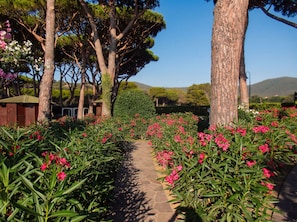 Exterior - Cala Beach Resort (Castiglione della Pescaia)