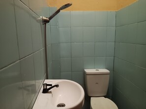 Une petite salle de bain avec un lavabo, des toilettes et une douche.