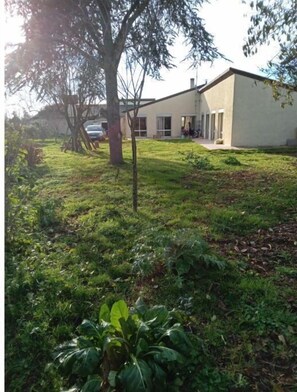 Overnattingsstedets uteområder