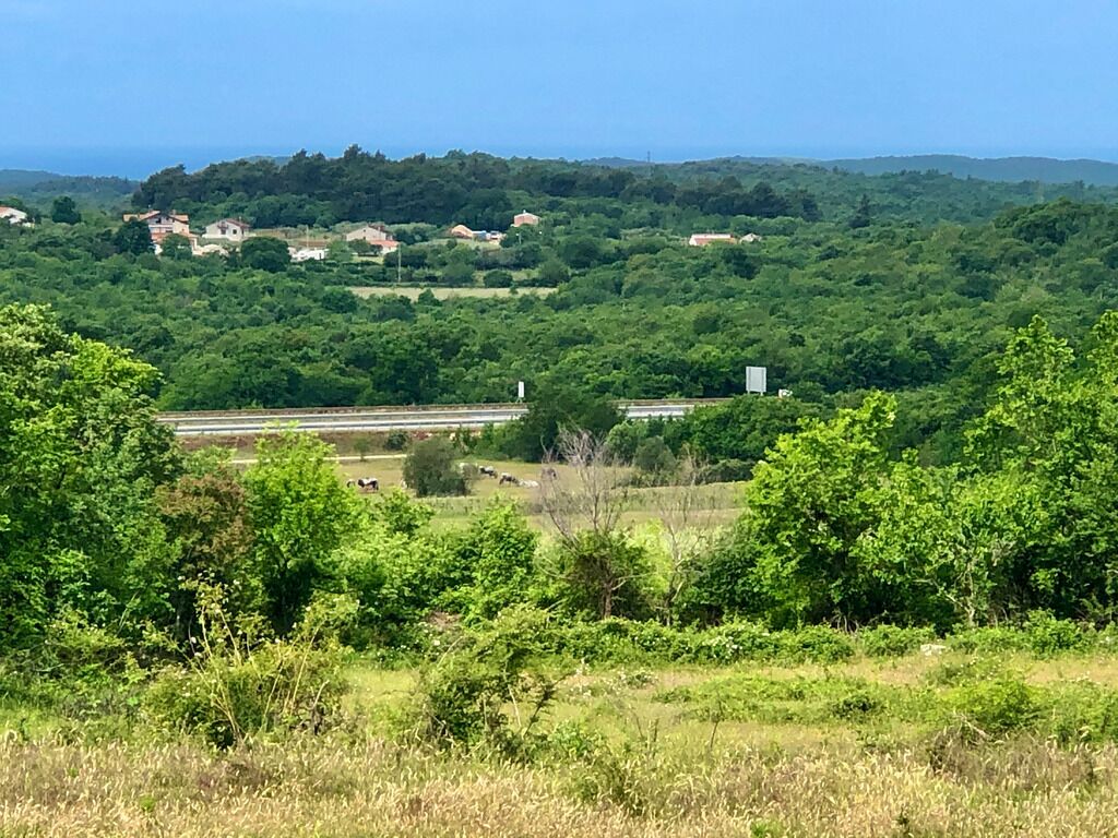 Un paisaje rural con casas dispersas, abundante vegetación y cielo despejado.