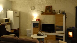 A cozy living room with a fireplace, a television, a microwave, and a sofa. - Room in Studio - Enchanting Escapade in Krsuli (Sveti Lovrec)