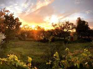 Un coucher de soleil sur un paysage rural, avec des arbres et un petit bâtiment.