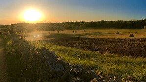 A rural landscape with a stone wall in the foreground, a field with hay bales, and a clear sky with the sun setting or rising. - Room in Studio - Enchanting Escapade in Krsuli (Sveti Lovrec)