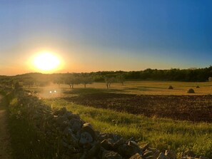 Rum - 1 sovrum - rökare - uteplats | Exteriör