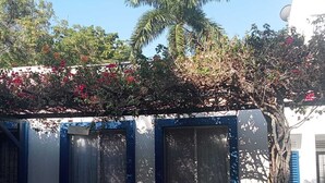 A building with two windows, a small garden with red flowers, and a palm tree. - Casa de Verano Mediterranea (Carmen de Apicalá)