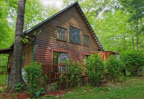 Exterior - Pet/Biker Friendly House on Horseshoe Hill.  Minutes to the NOC and Bryson City (Bryson City)