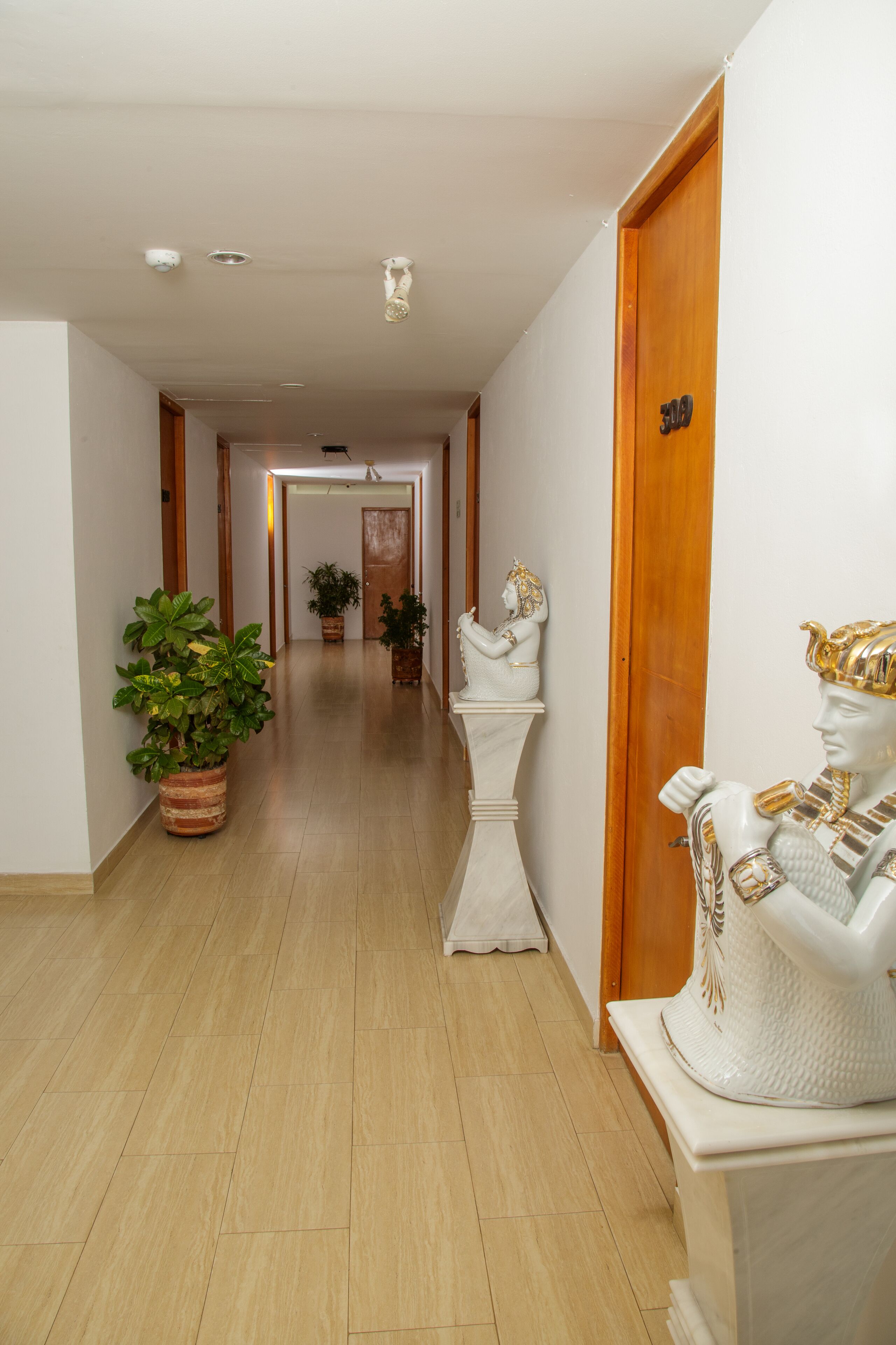 A hotel hallway with a wooden floor, potted plants, and a statue on the right.