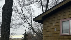 A house with a stone foundation and a wooden exterior, a concrete driveway, and a landscape with trees and a clear sky. - Cute Two Bedroom Cottage in Quiet Setting (Aberdeen)