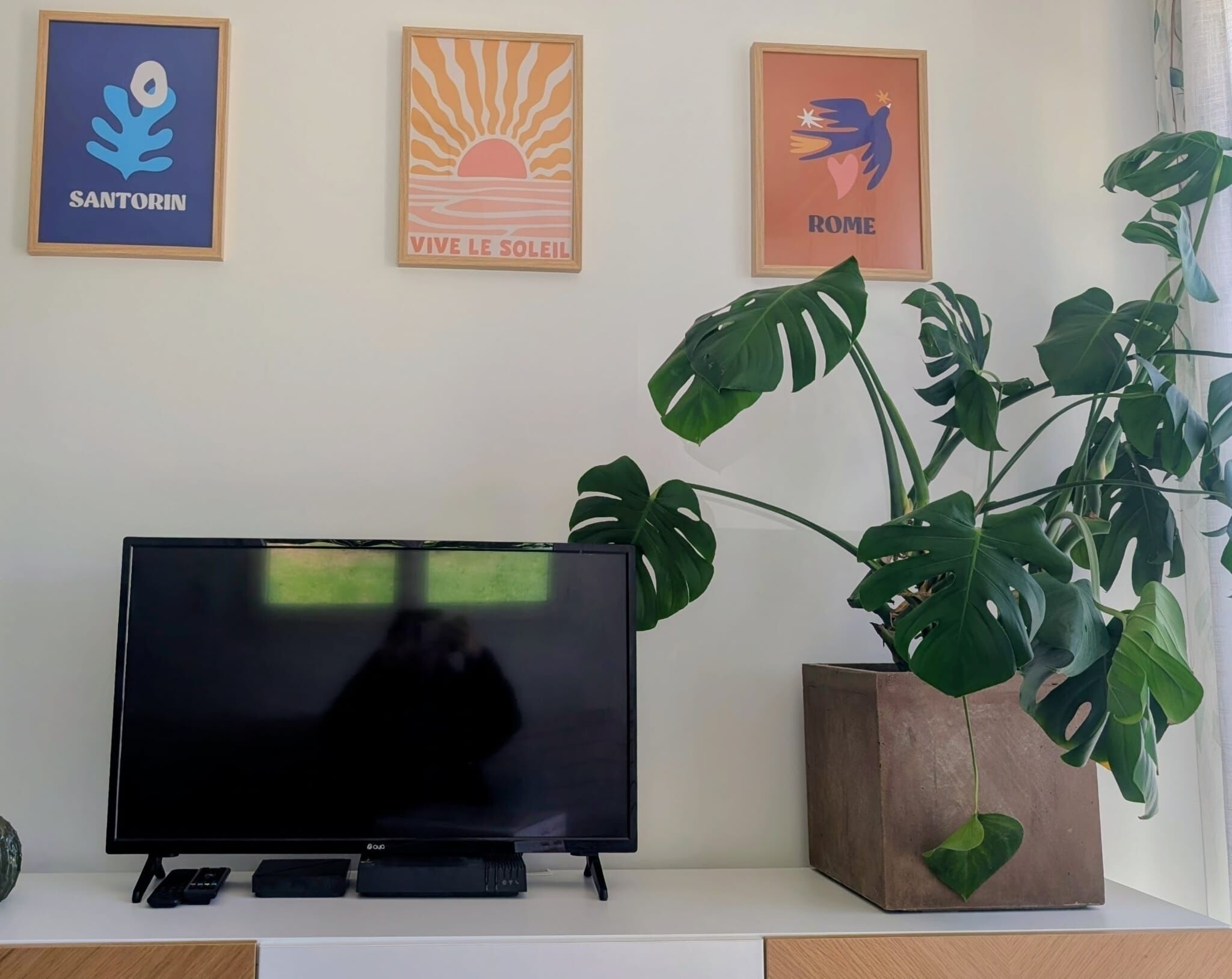 A flat-screen TV on a stand, a large potted plant, and three framed pictures on the wall.