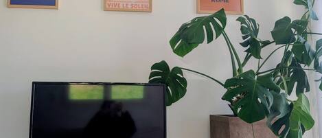 A flat-screen TV on a stand, a large potted plant, and three framed pictures on the wall.
