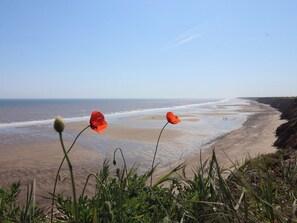 Cottage | Interior - Guillemot (Bridlington)