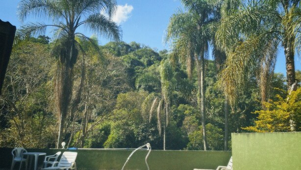 Una piscina con lettini e un elemento d'acqua, immersa nel verde rigoglioso e palme.