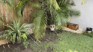 Un jardín con diversas plantas, incluyendo una palmera destacada, una cerca de madera y una maceta decorativa con forma de calavera.
