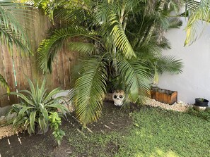 Property grounds - Stylish and cheerful 3 bedrooms house with hot tub. Pet Friendly! (Dorado)