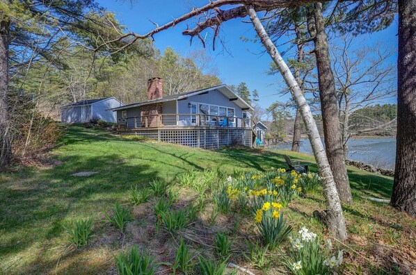 A house with a deck, surrounded by a grassy area and flowering plants, near a body of water.