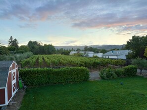 Property grounds - Quintessential wine country home.  Pool, views, close to downtown, pets welcome (Sonoma)
