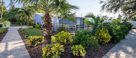 A paved walkway with a palm tree and various plants.