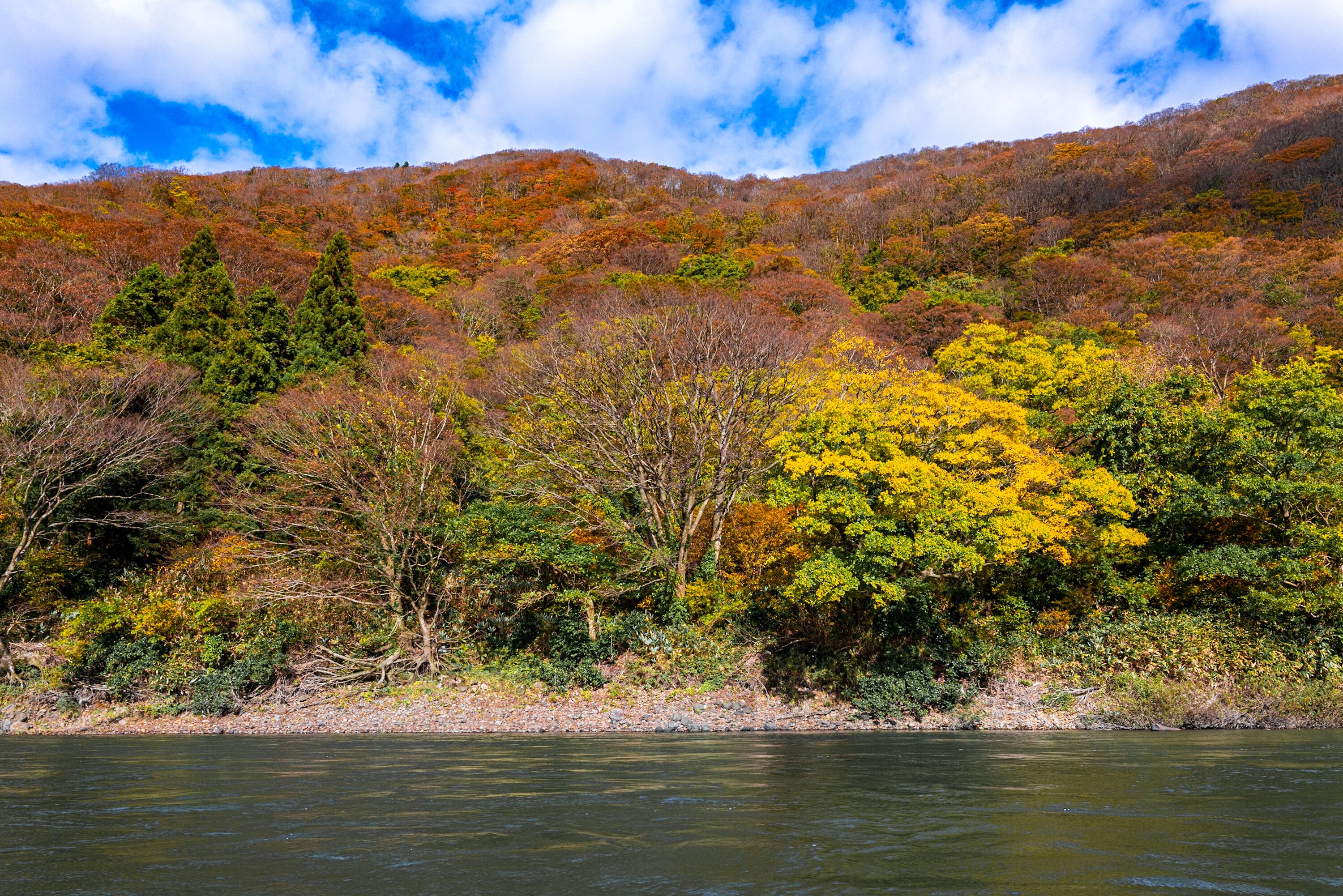 Un río rodeado de árboles en tonos otoñales, cielo despejado y un paisaje montañoso.