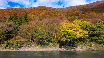 Un río rodeado de árboles en tonos otoñales, cielo despejado y un paisaje montañoso.