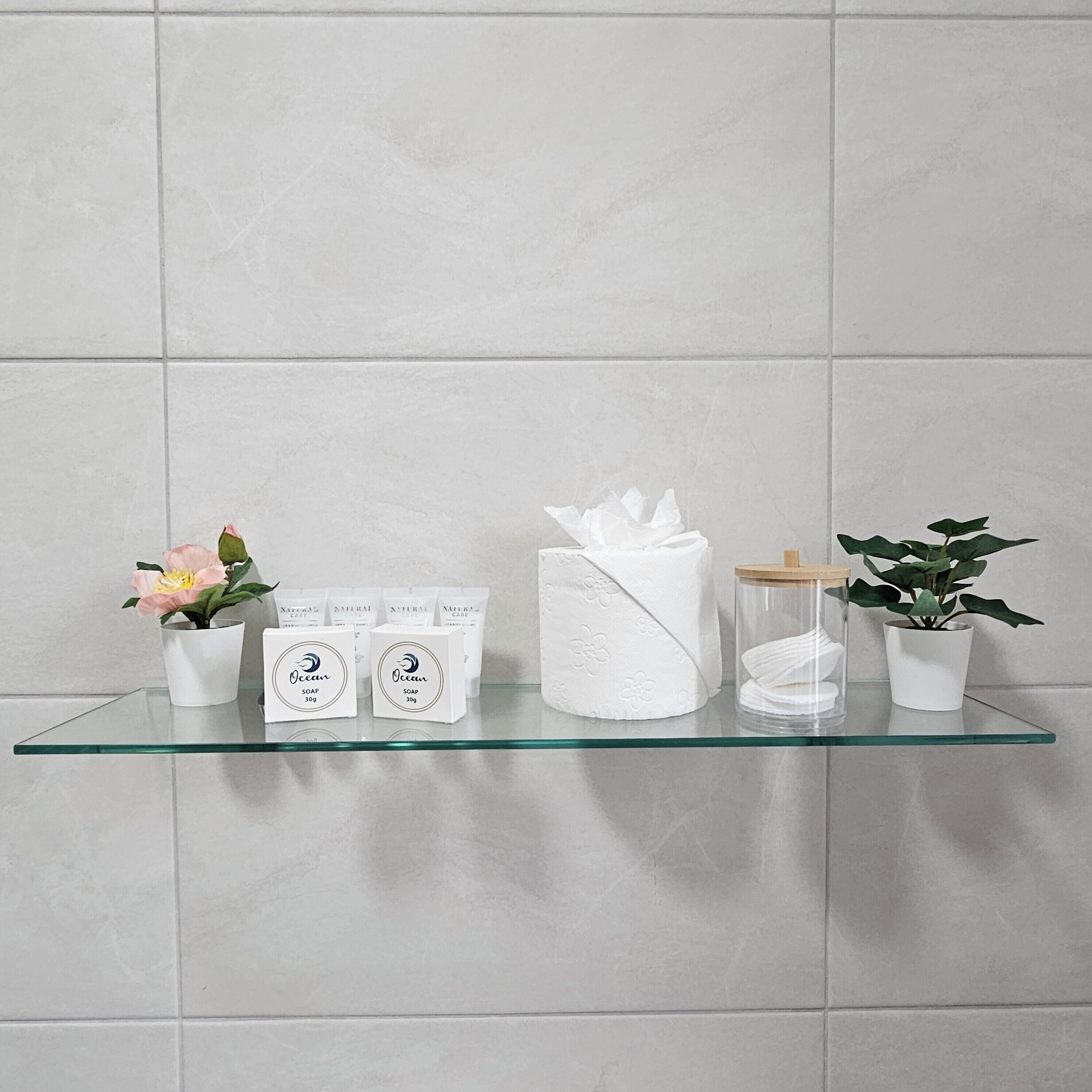 A bathroom shelf with toiletries, a tissue box, and two potted plants.