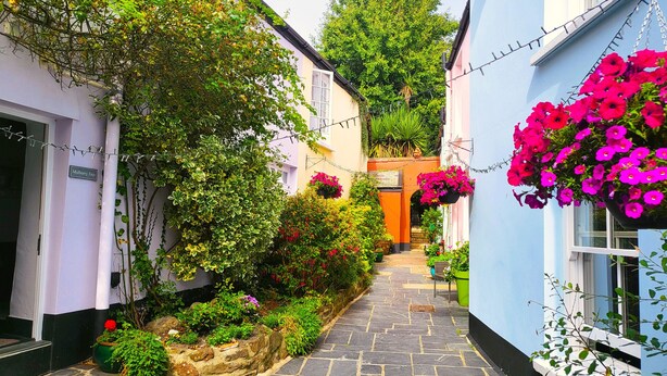 A narrow stone-paved alleyway flanked by buildings with vibrant flower boxes and lush greenery. - Mulberry Tree (Bideford)