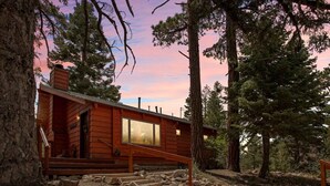 Una cabaña de madera con un ventanal grande, rodeada de árboles y un camino de piedra.