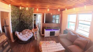 Smart TV, fireplace, stereo