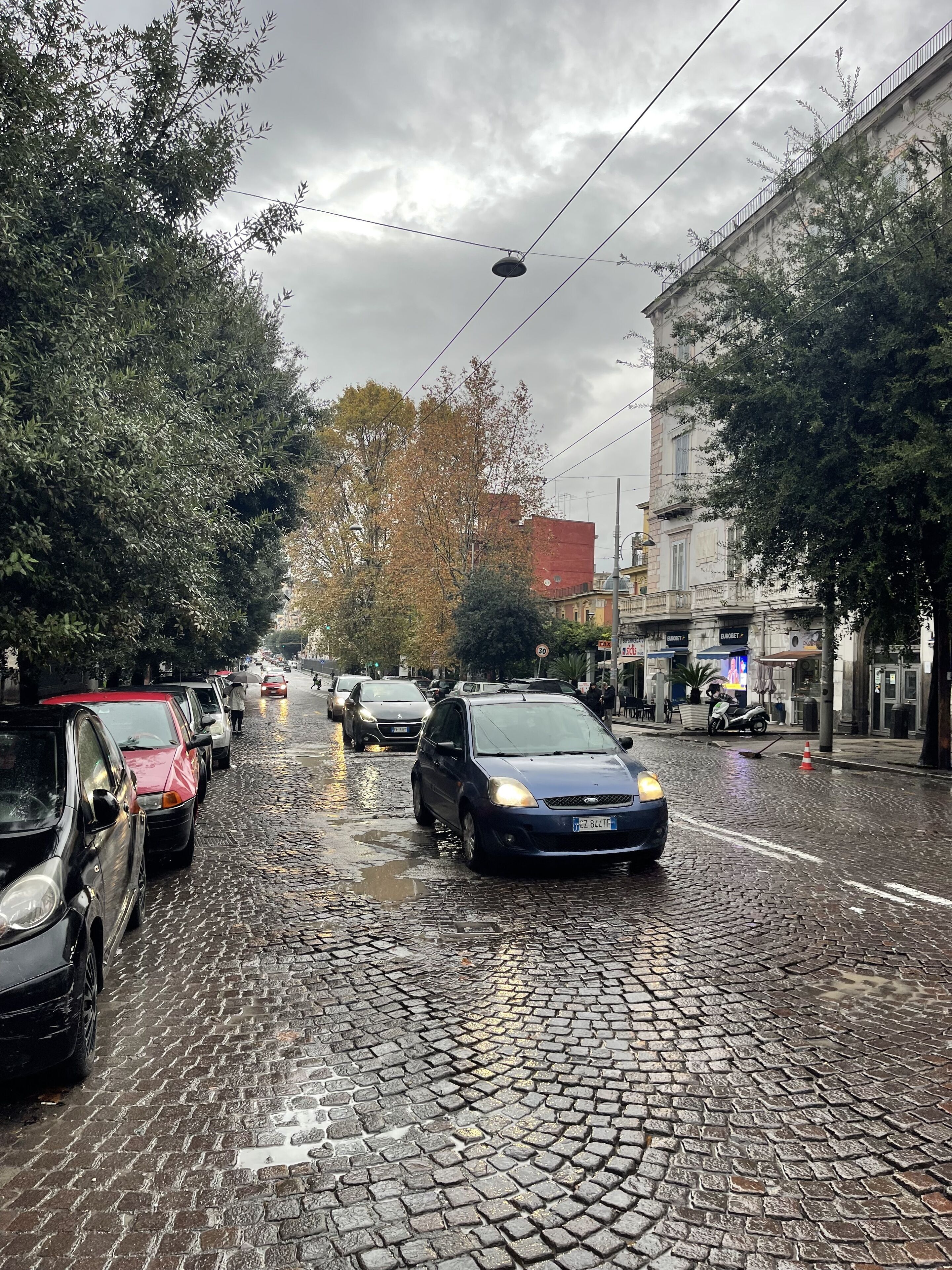 A cobblestone street lined with parked cars and trees.