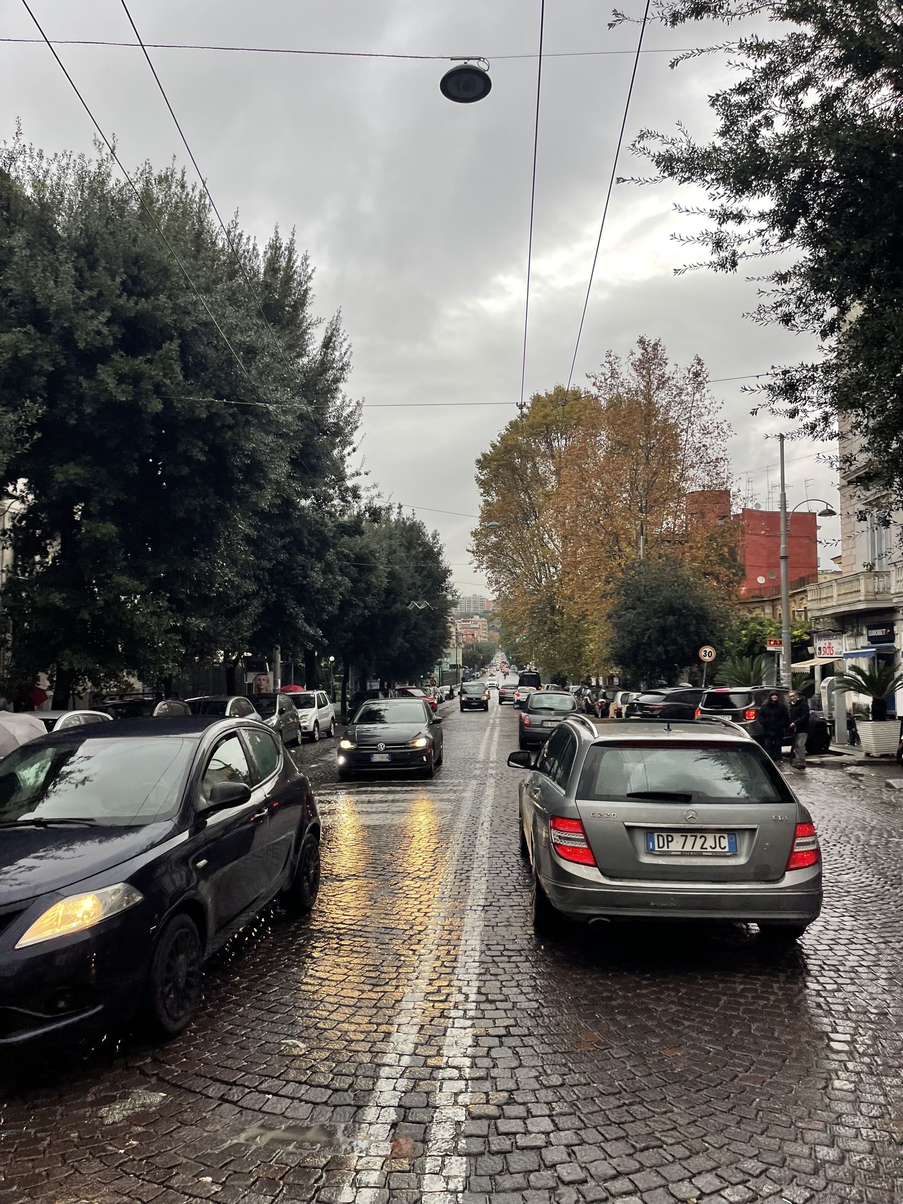A cobblestone street lined with parked cars and trees.